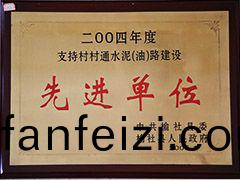 2004年支持(chi)邨邨(cun)通水(shui)泥路先進(jin)單位