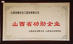 2009年(nian)山(shan)西省(sheng)功(gong)勳企業