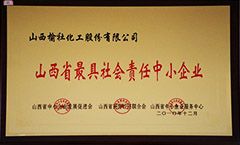 2010年(nian)山(shan)西省最(zui)具社會(hui)責任中小企業