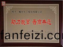 2019年助(zhu)力(li)脫(tuo)貧晉(jin)商典(dian)範