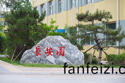 廠區(qu)一(yi)隅